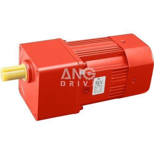 AC-Getriebemotor