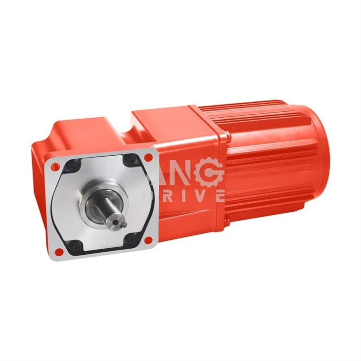 0.75KW Geared Motor