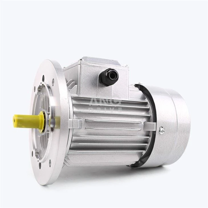 4HP Elektromotor
