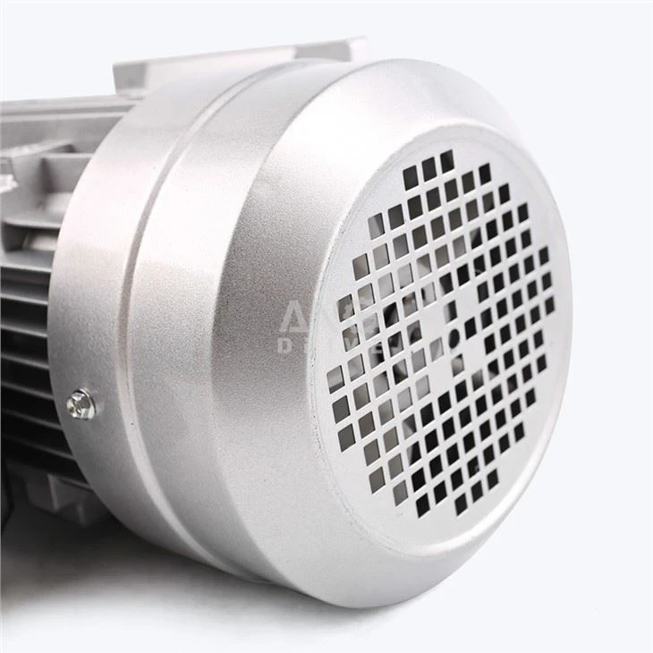 one phase electric engine