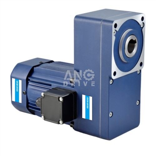 AC Flat Gear Motor