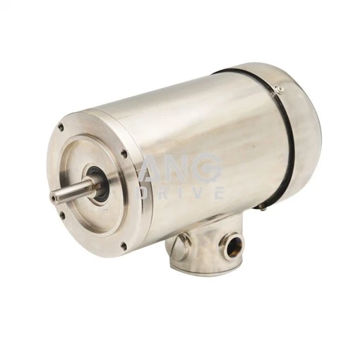 NEMA Edelstahlmotor