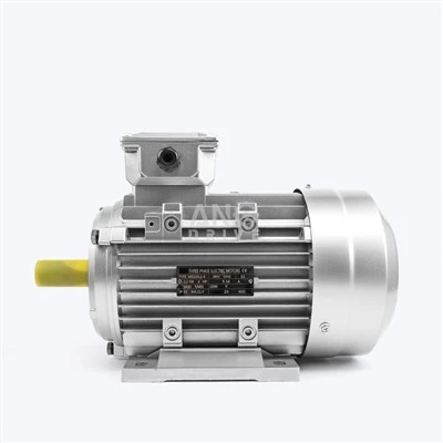Asynchroner Motor